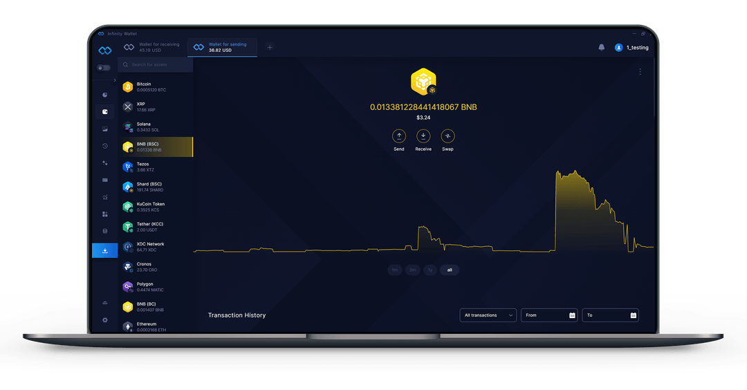 Infinity Wallet Portafoglio Desktop