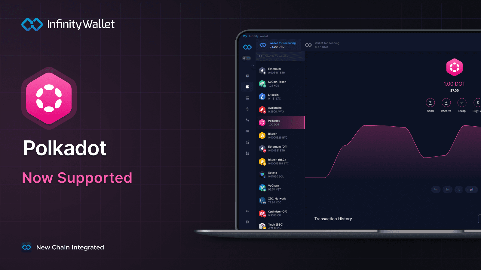 Polkadot Integrated to Infinity Wallet